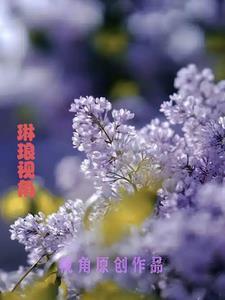 我想看琳琅