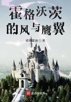 霍格沃茨的风与鹰翼免费