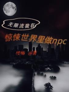 穿越到无限恐怖世界
