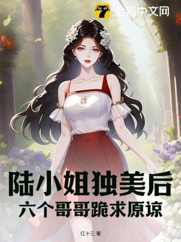 陆小姐他又美又乔