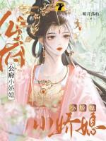 公府小娇媳田明雅