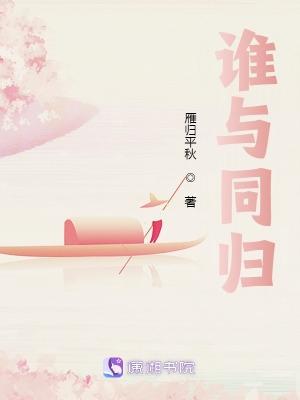 谁与归歌词什么意思