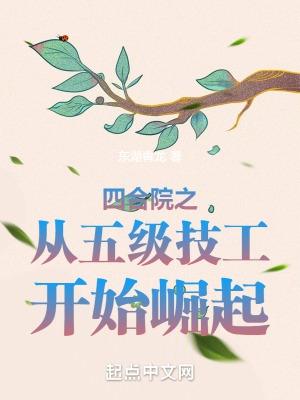 四合院之从九级工开始