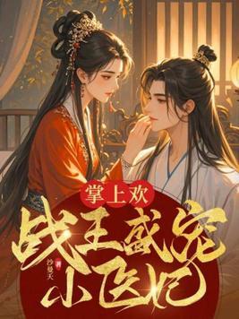 掌上欢战王盛宠小医妃 电视剧