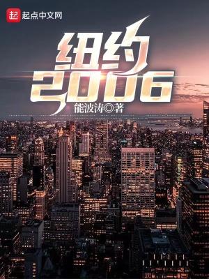 2009年的纽约