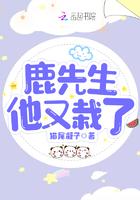 鹿先生在线