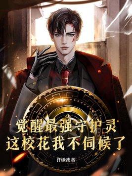 重生觉醒守护神系统