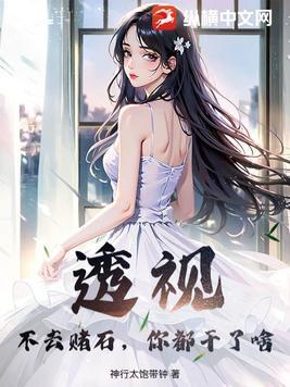 透视赌石空间