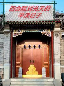 四合院之我是刘光天最新章节列表