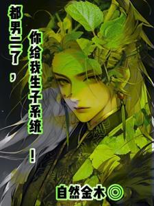 生子系统攻略文