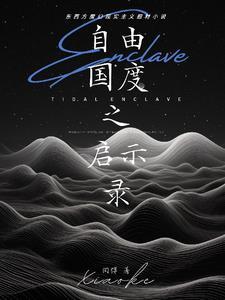 电影自由国度讲了什么
