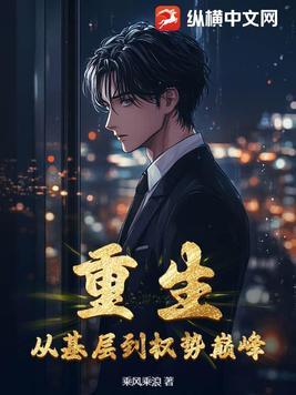 从基层登顶的官场完结版