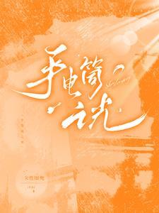 手电筒光能不能给太阳能充电