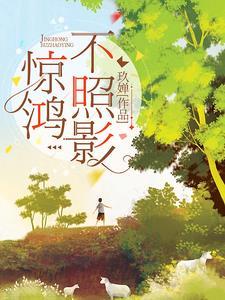 惊鸿照影的作品