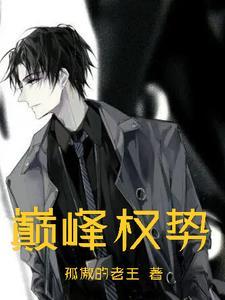 巅锋权力