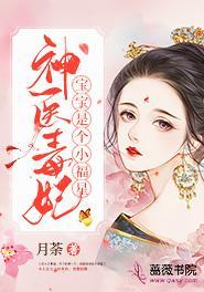 神医毒妃腹黑宝宝结局