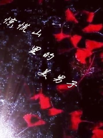 惊慌山里的美男子免费阅读