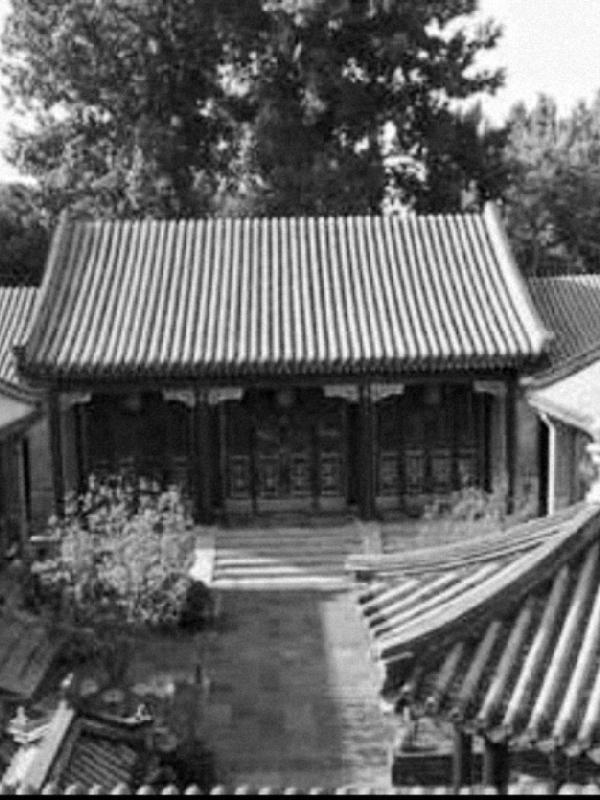 四合院之徐大茂