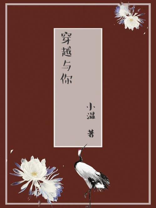 穿越与你 h小温
