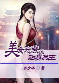美女总裁的贴身兵王境界划分