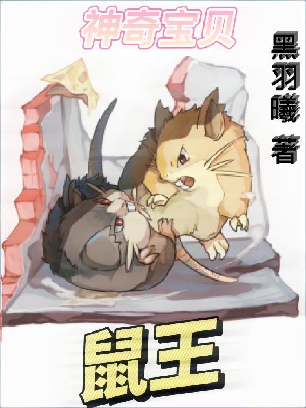 神奇宝贝里的老鼠