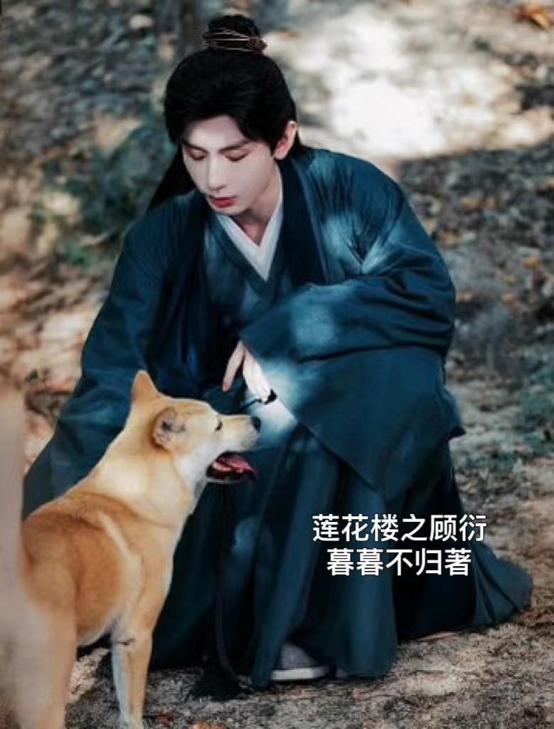 莲花楼之顾衍好看吗
