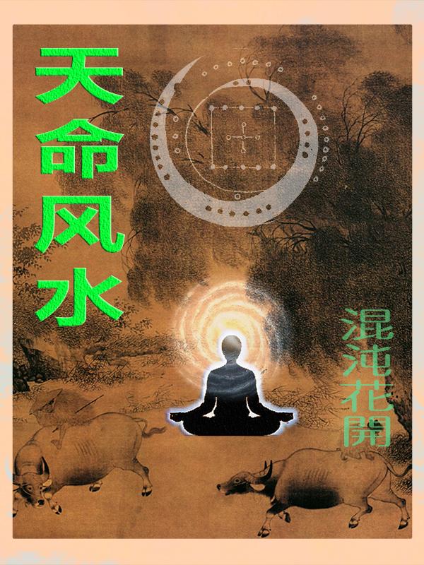 天命风水师全集免费播放