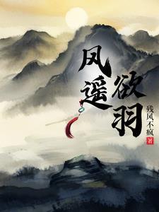 风逍遥游戏解说好看视频