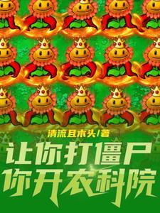 毁灭加子弹吗