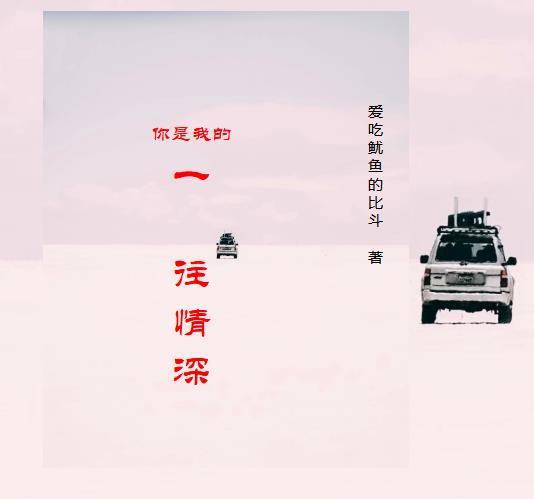 你是我一往情深的恋人歌词
