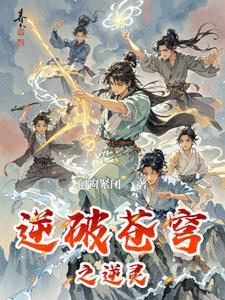 逆苍穹破解