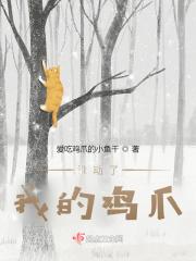 谁动了我的龟