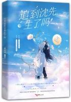 今天追到沈先生了吗免费