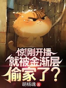 金渐层抓人