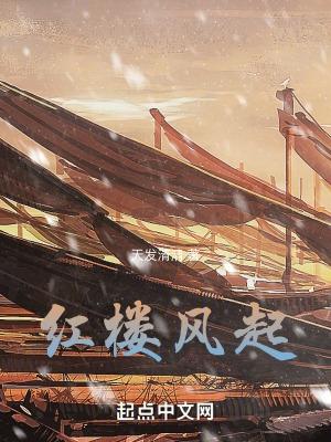 红楼起点中文网
