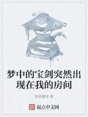 梦中剑没看懂