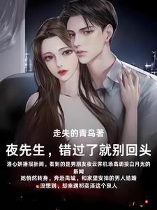 夜先生别来无恙宋诺