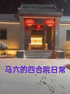 马六车子怎么样啊