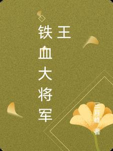 铁血将军11集