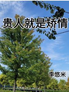 贵人很贵什么意思