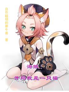 海贼之我是