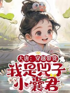 穿越大唐带系统空间