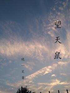 望天鼠图片