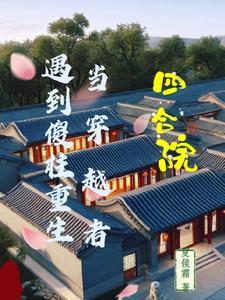 穿越之四合院傻柱