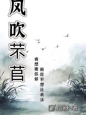 风吹什么打