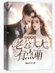 独家婚宠老公别缠我