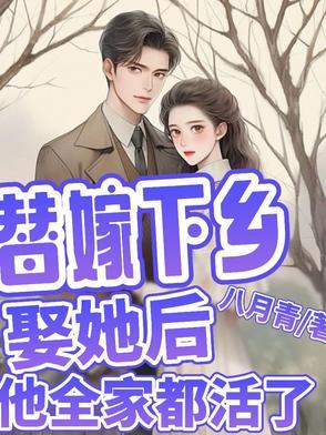 替嫁以后全文结局