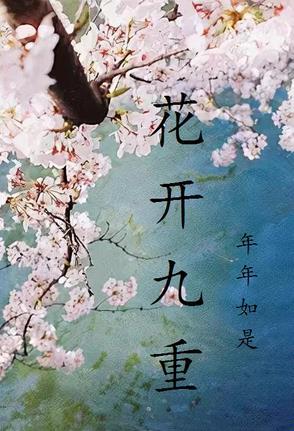 花开半夏-九夜茴