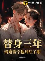 替身离婚后怀孕了的晋江