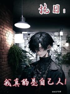 抗战真巧我也是少帅免费